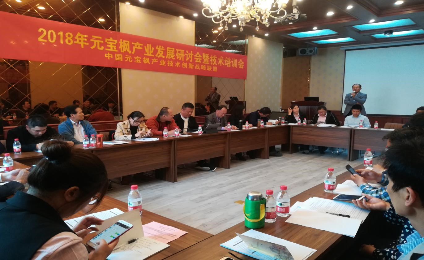 2018年元寶楓產(chǎn)業(yè)發(fā)展研討會暨技術(shù)培訓(xùn)會 在中國元寶楓之鄉(xiāng)山東泗水隆重召開