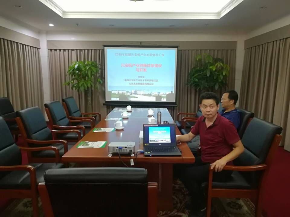 2018年7月20日向國家林業(yè)局領(lǐng)導(dǎo)匯報元寶楓產(chǎn)業(yè)情況